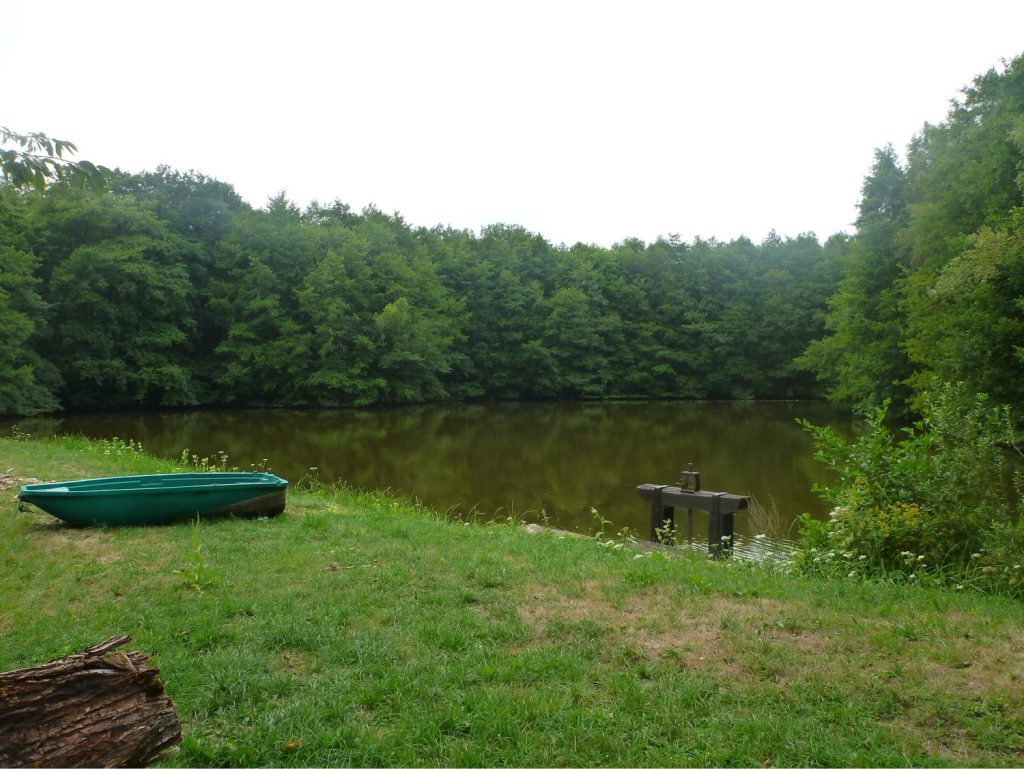 Plan d'eau forêt de Montmorency