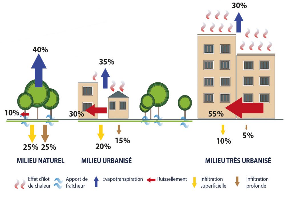 Impact de l'urbanisation dans le processus d'infiltration, d'évaporation et de ruissellement Impact de l'urbanisation dans le processus d'infiltration, d'évaporation et de ruissellement