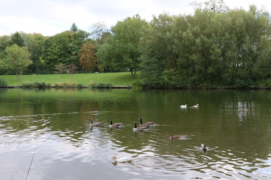 Bassin de stockage des eaux pluviales des Moulinets