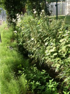 Ru de Montlignon - SIARE