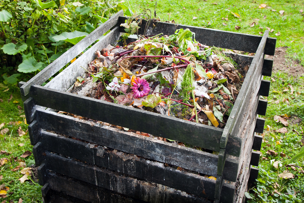 Compost