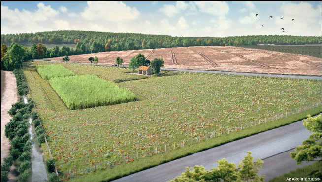 Projet de station d'épuration à Chauvry