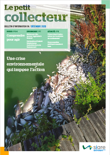 Le Petit Collecteur N°14 - Décembre 2020 - Couverture