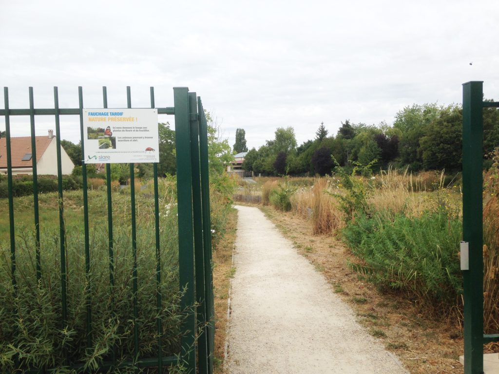 Fauche tardive bassin St Prix Fauche tardive bassin St Prix