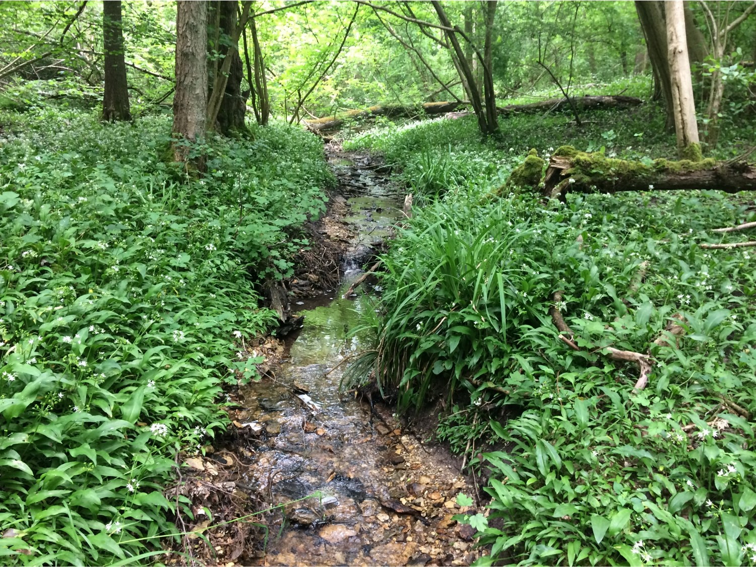 Gestion des milieux aquatiques et prévention des inondations