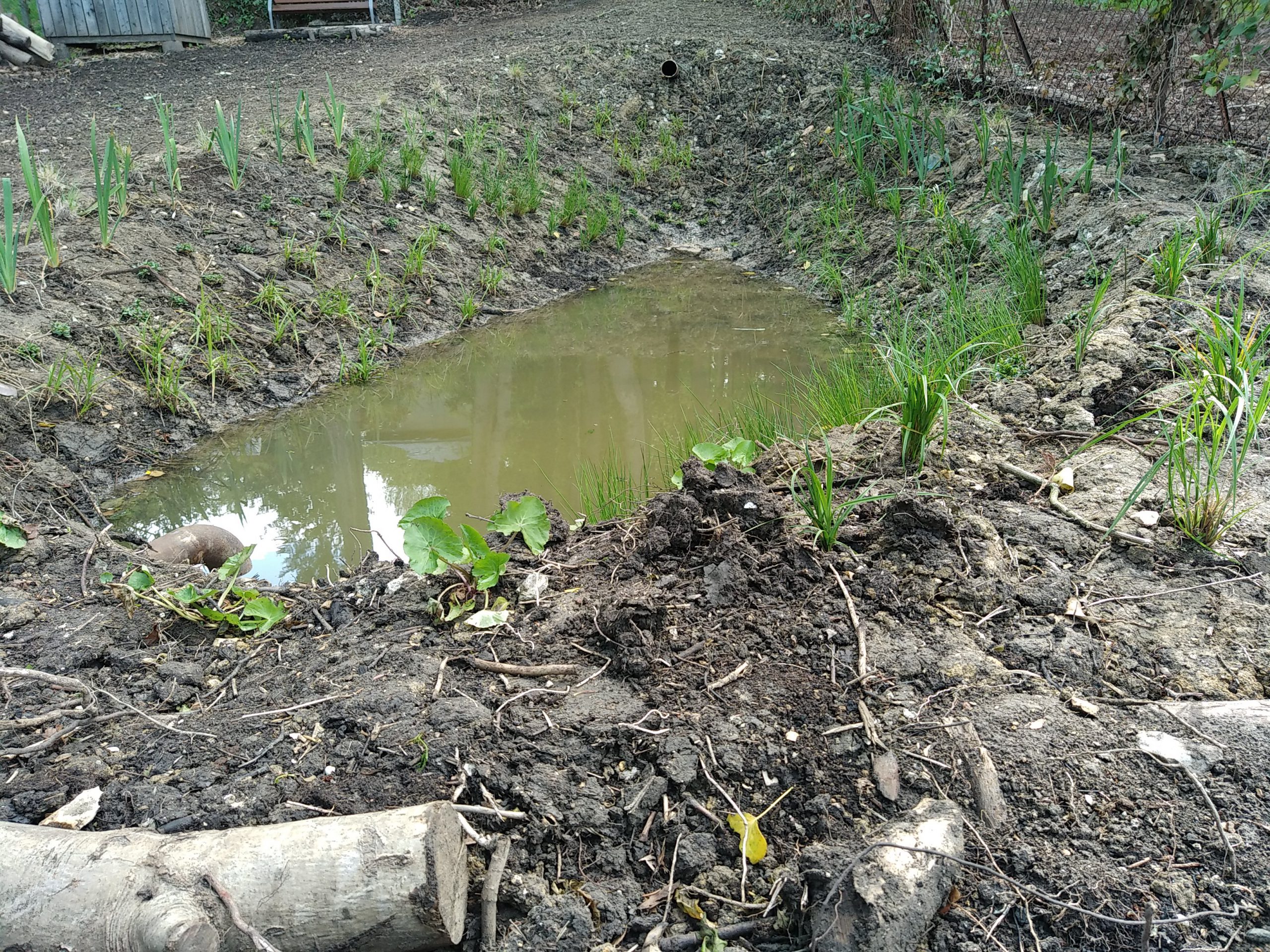 Travaux de réhabilitation de la source des Courgents et de création d’une mare écologique