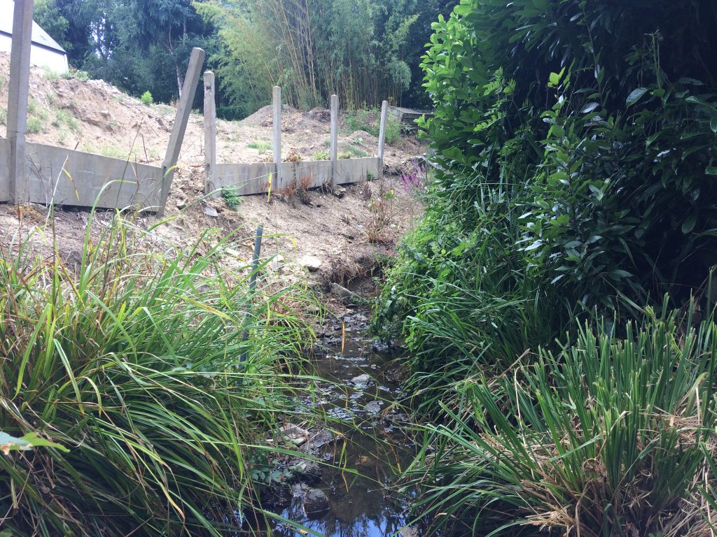 restauration de berges à Montlignon : avant les travaux