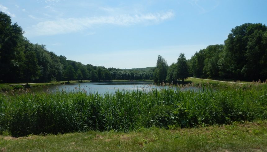 Etang foret Montmorency