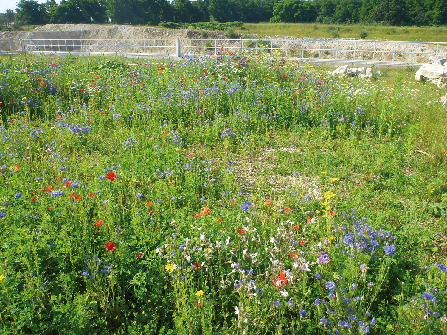 Préservation de l&rsquo;environnement