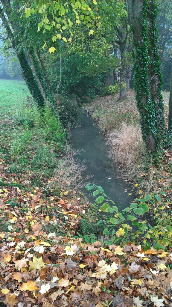 ru du Vieux Moutiers