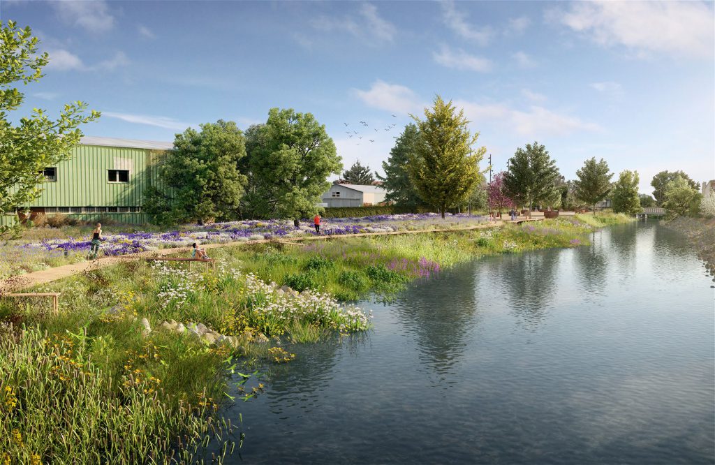 Vue sud bassin des cressonnières