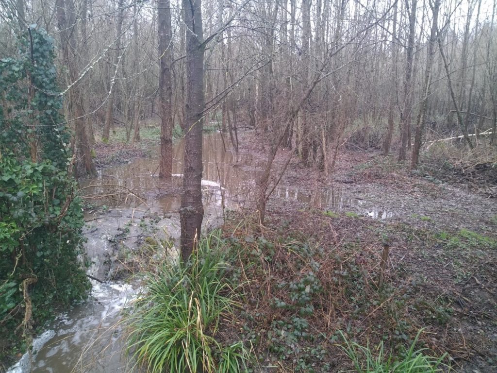 zone d’expansion de crue