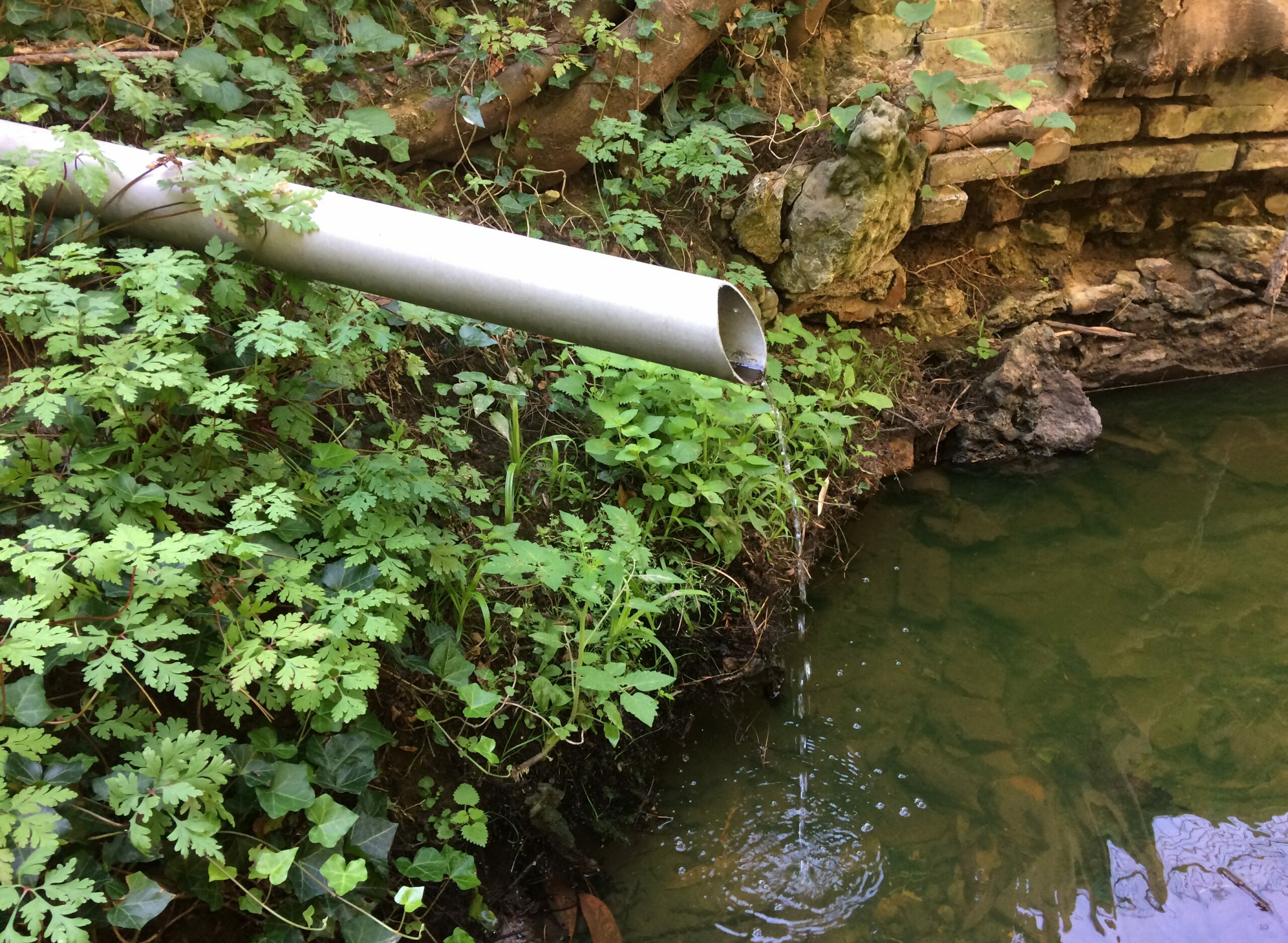 rejet milieu naturel