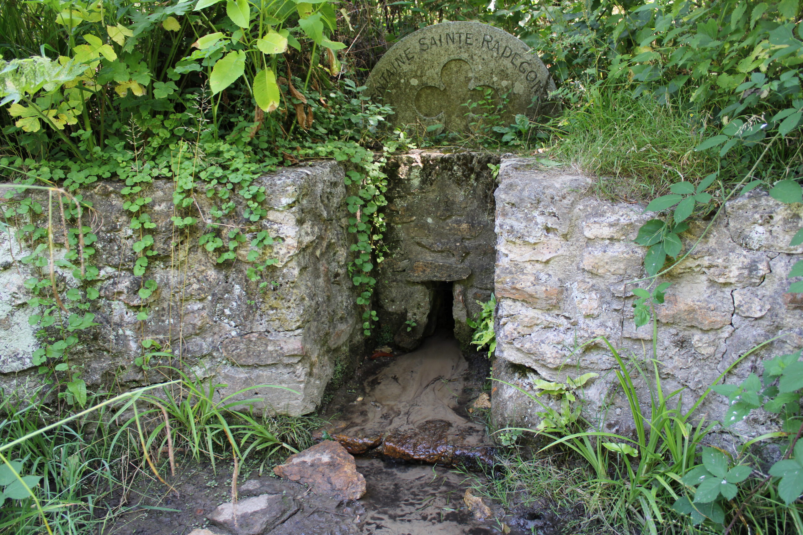 Fontaine Sainte- Radegonde